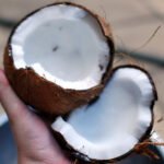 Khasiat dan Kebaikan Santan Kelapa